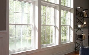 Commercial Vinyl Picture Windows Image 2