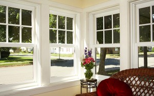 Commercial Aluminum Picture Windows Image