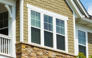 Commercial Vinyl Single Hung Windows