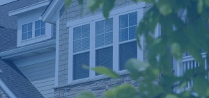 Naperville Single Hung Window Project Parallax Blue